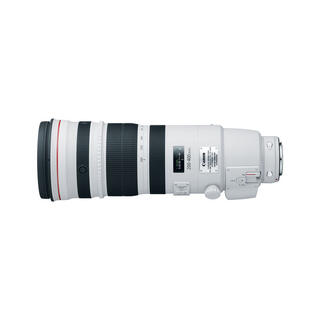 Canon EF 200-400mm f/4 L IS Ext 1.4x Telezoom med innebygd 1.4x telekonverter